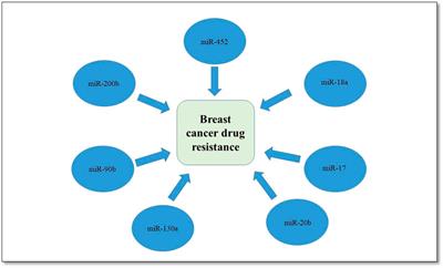 Breast Cancer; Discovery of Novel Diagnostic Biomarkers, Drug Resistance, and Therapeutic Implications